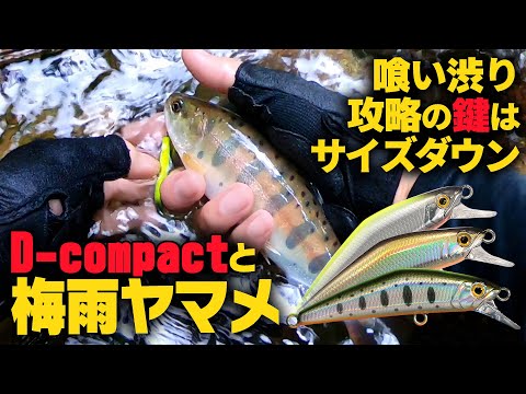Видео: [Стратегия] D-Compact и ловить форель ямаме! Ключ - приманка уменьшенного размера!