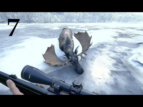 Видео: TheHunter Call of the Wild На ОХОТУ  ОХОТА В ТАЙГЕ # 7