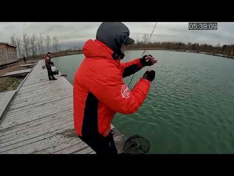 Видео: Активно ловим форель на силикон. Как правильно подобрать вес головки. Борьба до последней минуты.