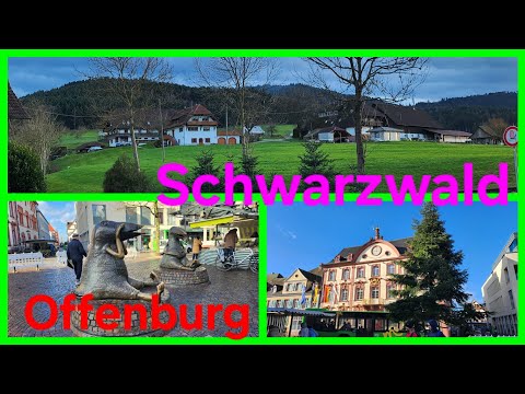 Видео: Юг Германии 🇩🇪,Schwarzwald🎄Offenburg,всего по немножку.