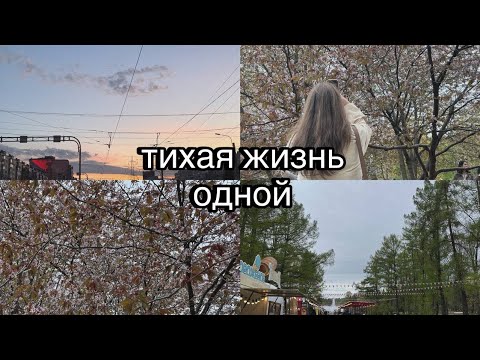 Видео: тихая жизнь одной | цветение сакуры в Петербурге, рабочие будни перед отпуском, занятие по аэройоге