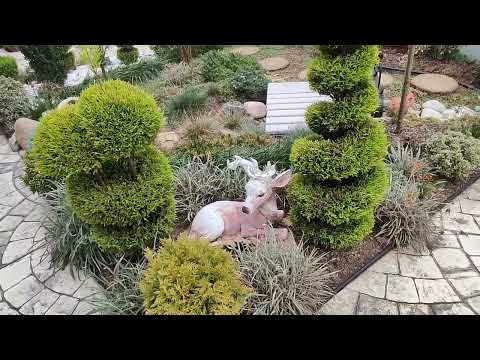 Видео: шамотные вазоны, и другие декоры моего сада!