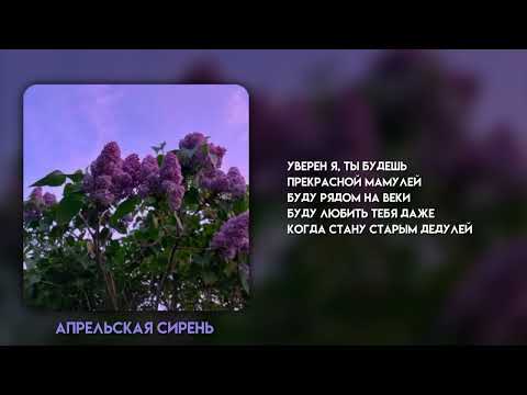 Видео: апрельская сирень