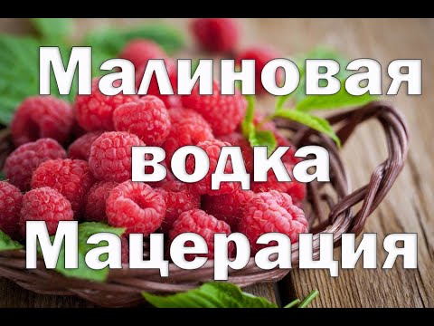 Видео: Малиновая водка или малиновый мацерат.Видео 18+