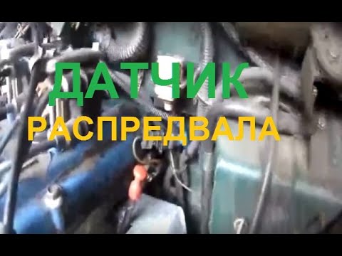 Видео: Датчик распредвала 405, 406, 409, 4213, 4216 двс