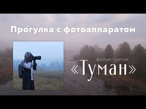 Видео: Карелия осенью. Природа и релакс. Прогулка с фотоаппаратом.