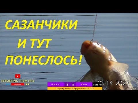 Видео: ХЕРАБУНА -  САЗАНЧИКИ!  И ТУТ ПОНЕСЛОСЬ!!!!