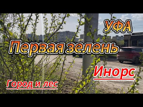 Видео: Уфа, Инорс, прогулка из города в лес, 20 апреля 2024