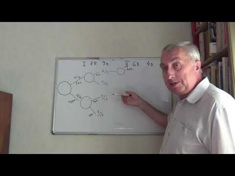 Видео: Древо вероятностей