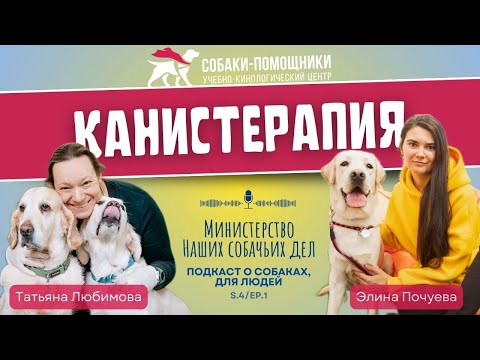 Видео: Канистерапия: как помогают детям и родителям