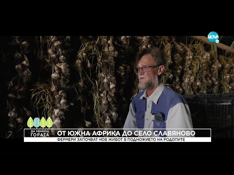 Видео: Да хванеш гората (24.07.2022)