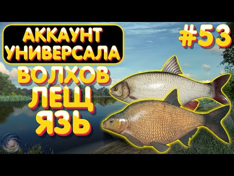 Видео: Аккаунт универсала #53 | Лещ и Язь | р. Волхов | Русская Рыбалка 4
