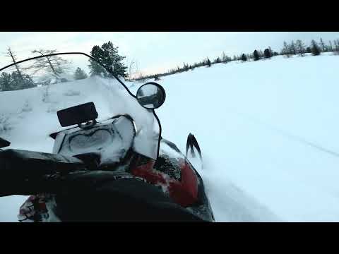 Видео: Ski-doo Expedition 1200 4-tec покатались 20.02.22