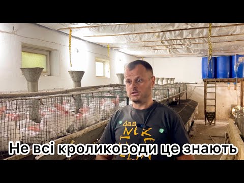 Видео: Який комбікорм підійде Вашим кроликам❓ Особливості рецептів
