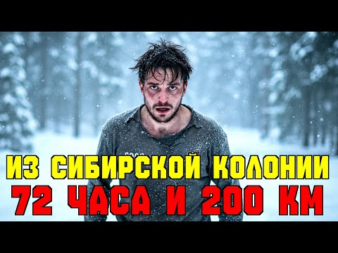 Видео: 200 км через тайгу Сибири - ВОЗМОЖНО ЛИ ЭТО?