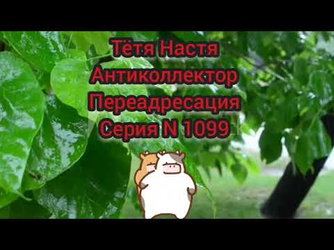 Видео: Тётя Настя. Серия N1099. Антиколлекторы. Диалоги с коллекторами. Банками. МФО