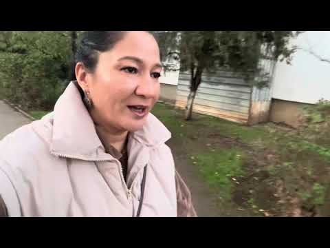 Видео: Гуляем с детьми 