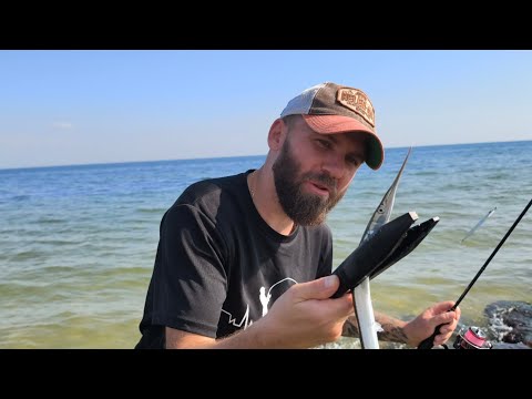Видео: НОВАЯ ЛОКАЦИЯ🫡РАЗДАЧА САРГАНА 🦈 