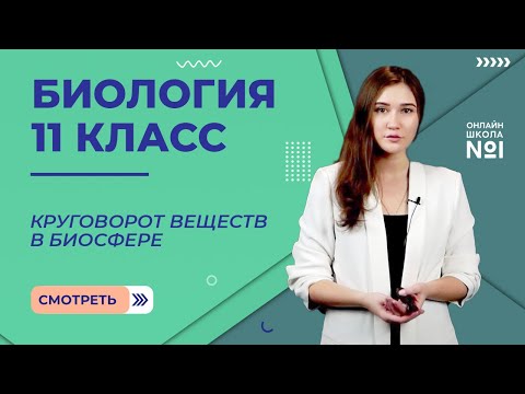 Видео: Закономерности существования биосферы. Круговорот веществ в биосфере. Урок 31. Биология 11 класс