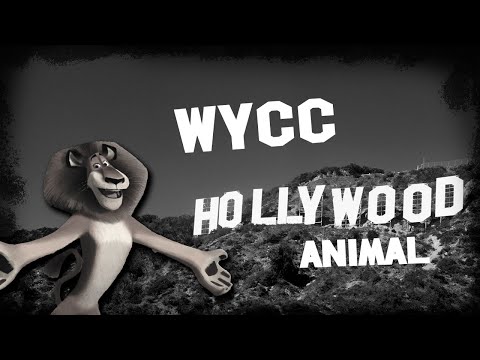 Видео: *AD* Hollywood Animal (Стрим от 10.06.2024)
