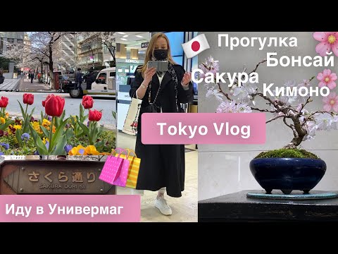 Видео: Tokyo 🇯🇵прогулка по улице  сакуры🌸 Бонсай 🌳Кимоно 👘Зонтики 🌂Универмаг в Токио