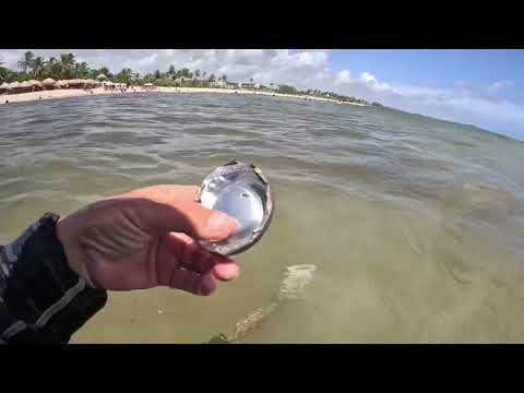 Видео: Ищем с Equinox 900 и Мантикора.