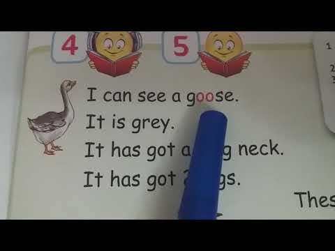 Видео: Англійська. С.65. 2 клас. Підручник Карпюк.