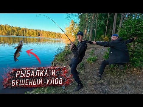 Видео: Рыбалка и Бешеный улов на Донку