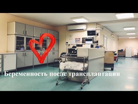 Видео: Беременность после трансплантации