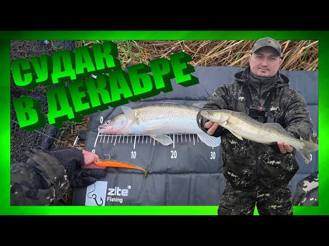 Видео: 🔴 СУДАК В ДЕКАБРЕ ! Ловля судака зимой. Рыбалка на реке. рыбалка в Германии.