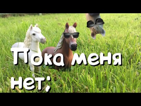 Видео: Что делают лошади пока меня нет?!   (1-я Часть)