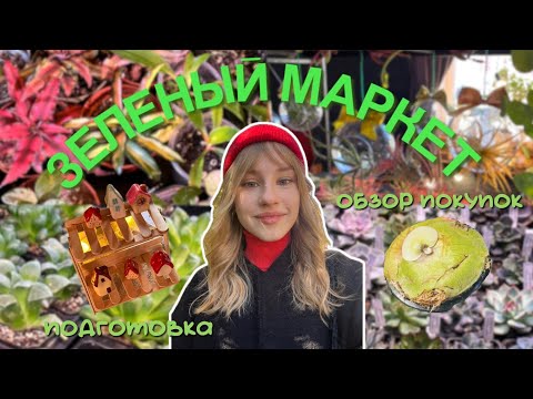Видео: ЗЕЛЕНЫЙ МАРКЕТ | ОБЗОР МАРКЕТА И ПОКУПОК | Hand made идеи для растений | 