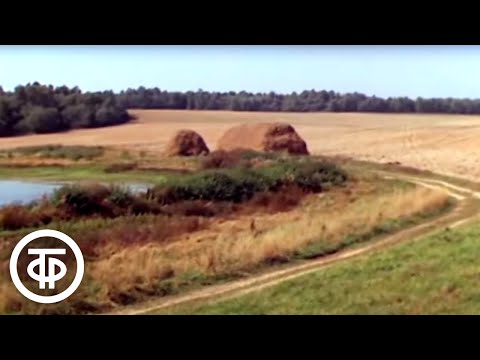 Видео: Осень. Видовой фильм (1979)