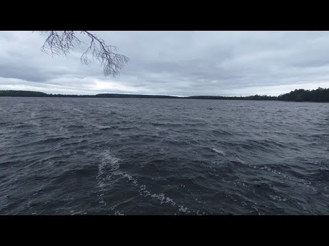 Видео: Однодневный поход на Космачевское озеро. Осмотр туристических стоянок.
