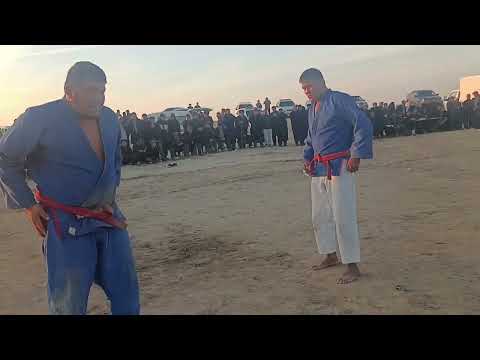 Видео: 6 ноября 2025 г.