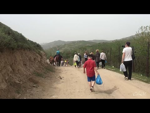 Видео: Самарканд - Агалык 🇺🇿 💕 🚌 🎼10.04.2022