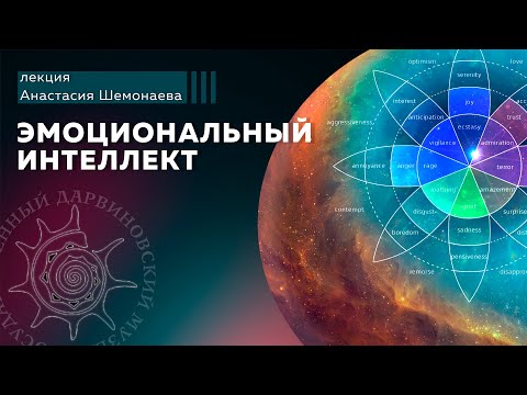 Видео: Эмоциональный интеллект