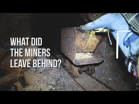 Видео: Реальный опыт Индианы Джонса