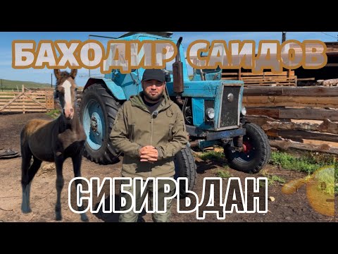 Видео: “Қишлоқдан миллионер бўлиш мумкинми?”
