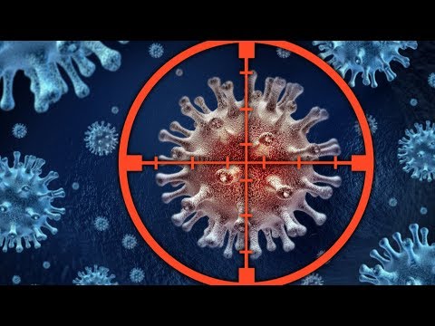 Видео: 5.3. S9: доклинические данные, обосновывающие дизайн КИ и продажу