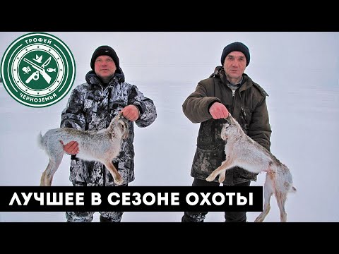 Видео: Лучшие моменты с охоты на зайца 2020-2021!