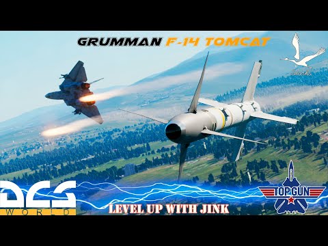 Видео: ⚓Grumman F-14 Tomcat⚓Командная работа { #jink #usn #ijnaf #ijnas #dcs }