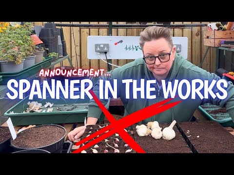 Видео: Вынужден остановиться, когда мне нужно начать