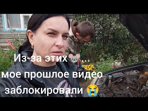 Видео: Жизнь в деревне Казахстана 🇰🇿/суп -затерка/ подготовка техники 
