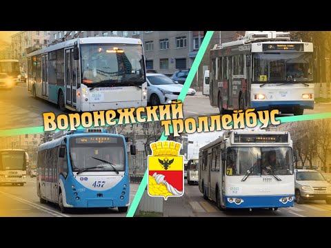 Видео: Пол часа с рогатыми | Обзор Воронежского троллейбуса