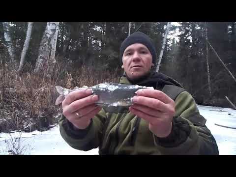 Видео: РЫБАЛКА ПО ПЕРВОМУ ЛЬДУ/ХАРИУС НА ТАЕЖНОЙ РЕЧКЕ/ часть 1