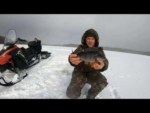 Видео: Немного рыбалки, о снегоходе, кадры с фото ловушки.