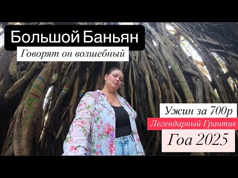 Видео: 17. Гоа. Сломался байк😱 Баньян. Грантик