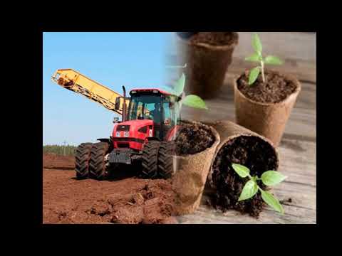 Видео: МОЙ ВЫБОР ГРУНТА. Разница между верховым и низинным торфом. Принимаю Klasmann TS1. Земля для рассады