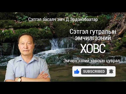 Видео: Сэтгэл гутралын эмчилгээний ховс - Сэтгэл засалч эмч Д.Эрдэнэбаатар
